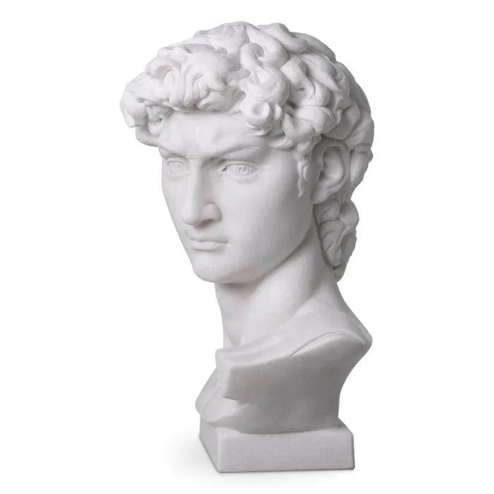 Head David - White Marble