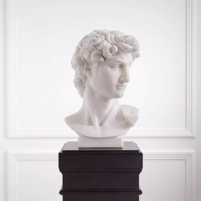 Head David - White Marble