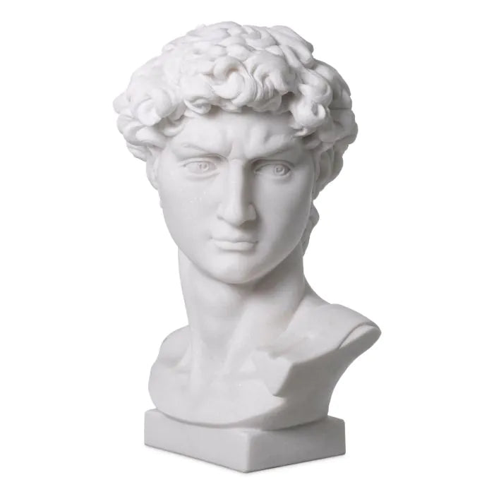 Head David - White Marble