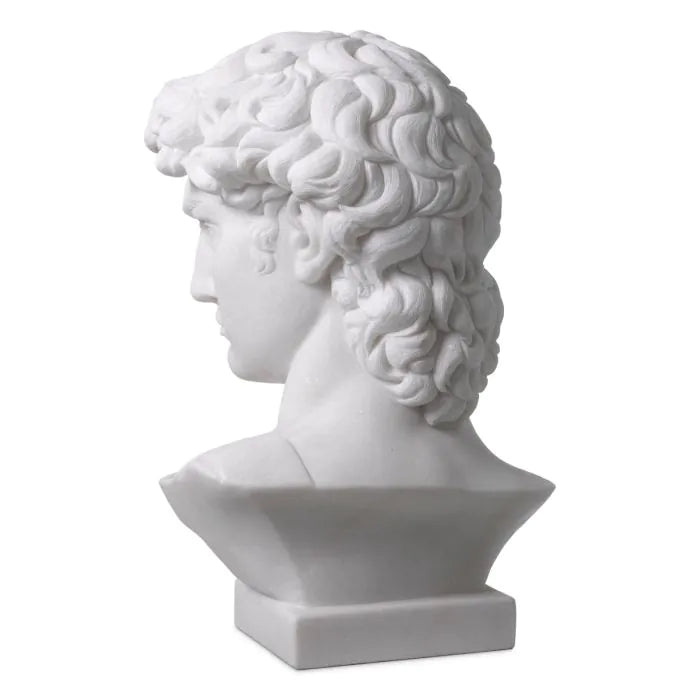 Head David - White Marble