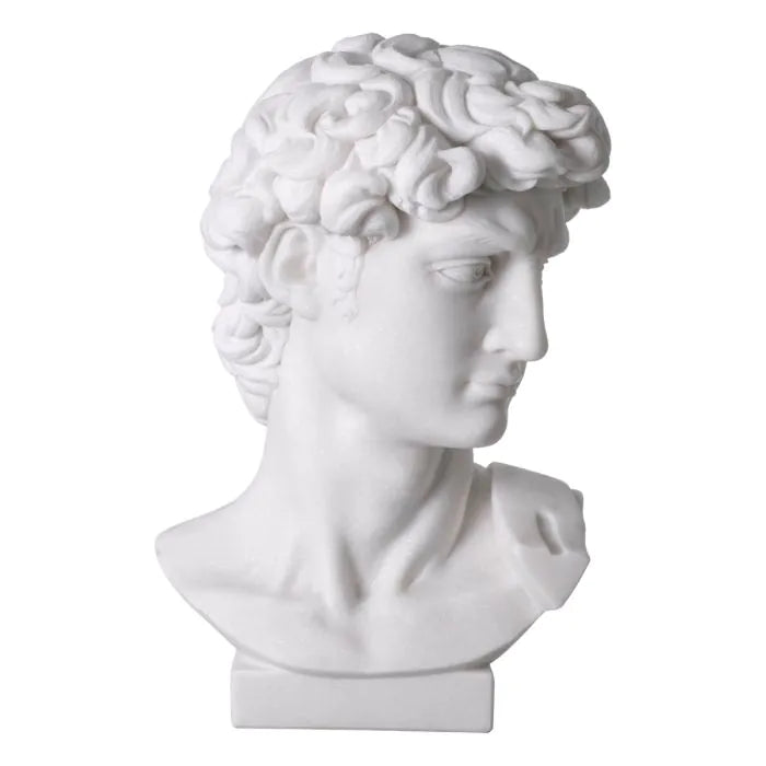 Head David - White Marble