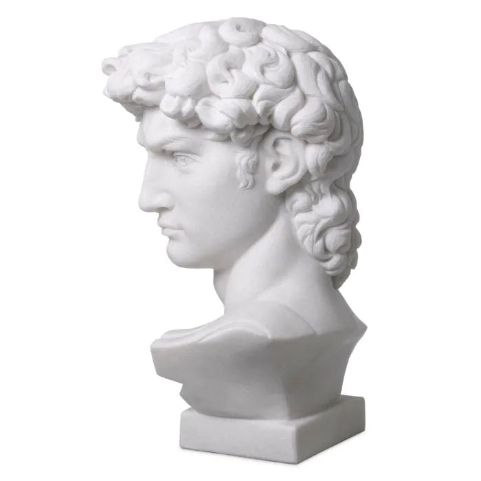 Head David - White Marble