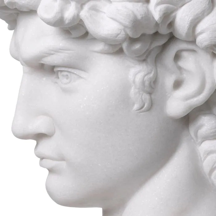 Head David - White Marble